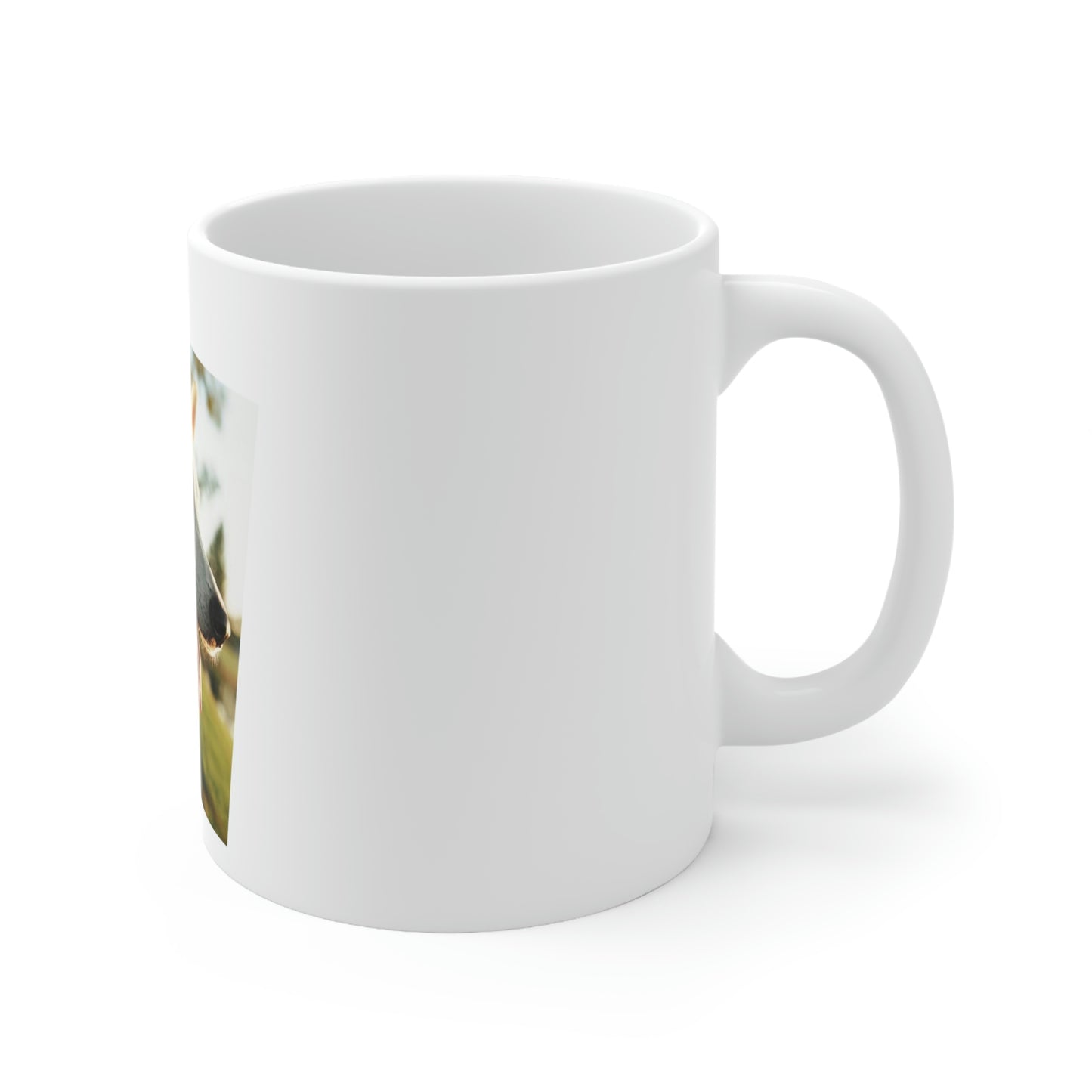 Ceramic Mug 11oz